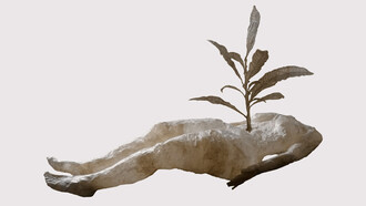 Verónica Navas; Ecdisis/Muda. Escultura en papel, 2020