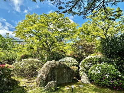 Rock garden inside the park © Alma Reyes