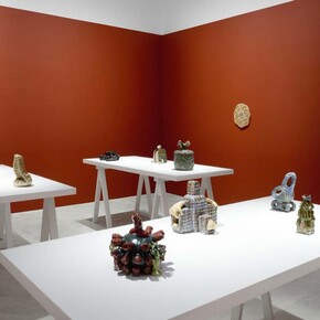 Tecla Tofano, Esa munda macha, exhibition view. Courtesy of James Cohan Gallery