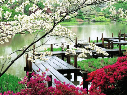 Giardino giapponese, Washington