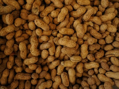 Peanuts in shells called monkey-nuts 