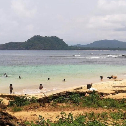 Children and dogs swim in the sea in São Tomé and Príncipe