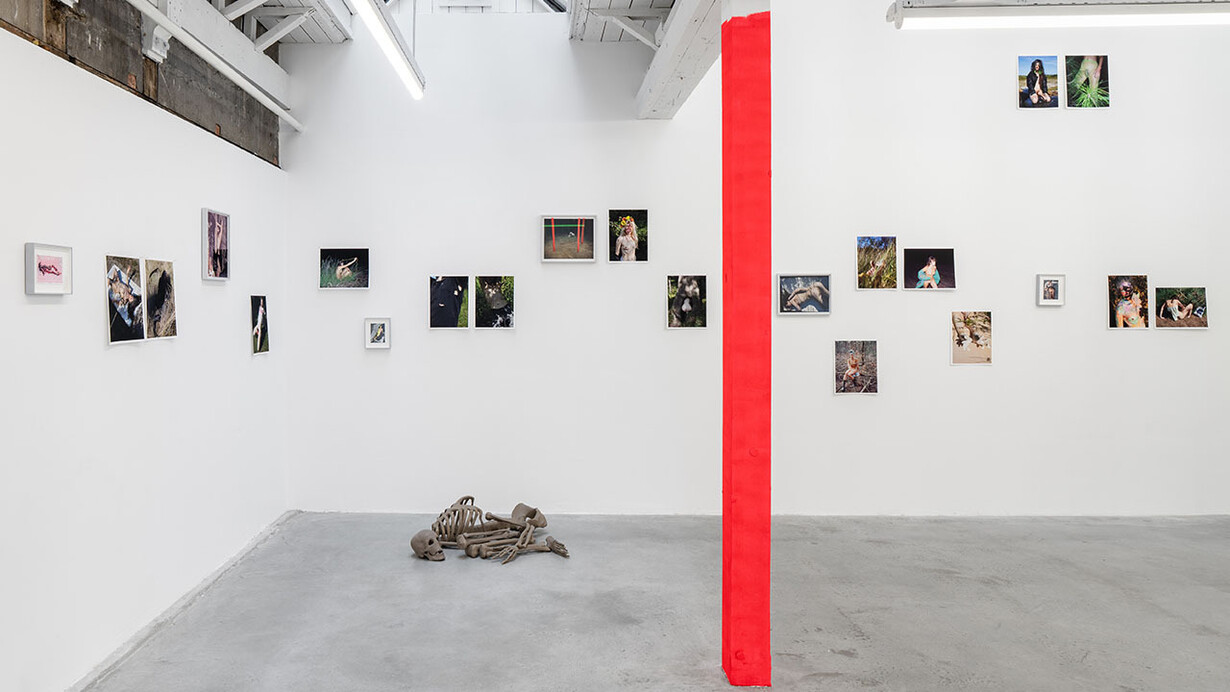 Viviane Sassen and Emmeline De Mooij, Frau holle, exhibition view. Courtesy of Stevenson