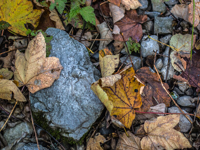 Letting go, ph. M. Stillwater
