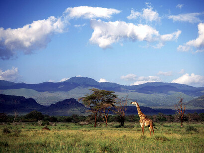 Chyulu Hills at Campi ya Kanzi