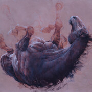 Iwona Nartowska O’Reilly, Rolling