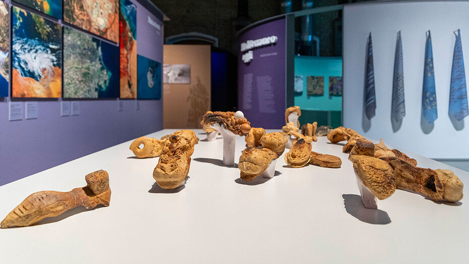 Mediterranea. Visioni di un mare antico e complesso, vista della mostra. Per gentile concessione del Maxxi