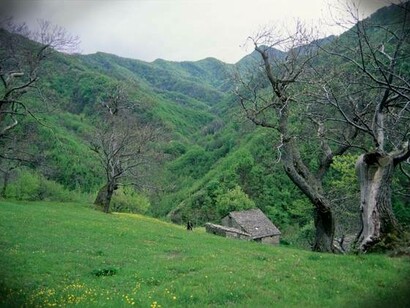 Valle del Vignale in inverno, provincia di Firenze, Toscana, Italia