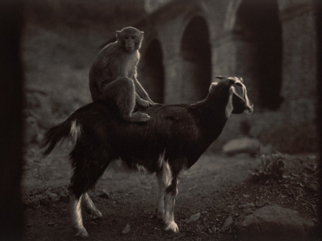 Warm Regards. Courtesy of Photo-eye Gallery