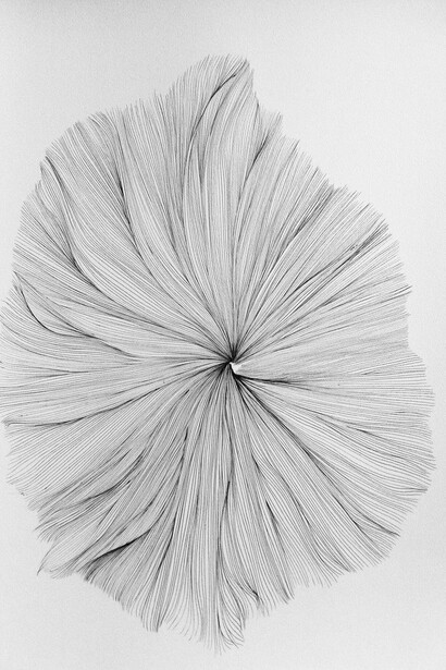 Jérémy Gobé
Dessin continu 4, 2015
Stylo à bille sur papier
65 x 50 cm
Courtesy de l’artiste et DRM Galerie