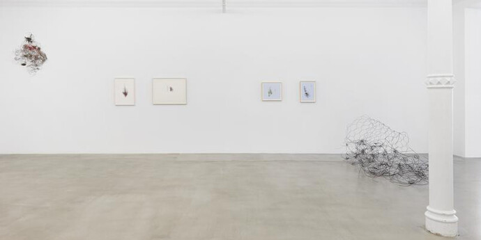Sculpture, Exhibition view. Courtesy of James Cohan