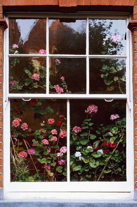 Leon & Johannes, c-print, diasec, (wood plinth, foil), 145 x 195 cm