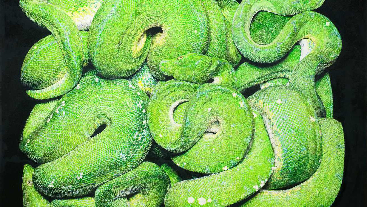 Ulrich Lamsfuss, Guido Mocafico, 2014, Morelia Viridis (Serpens 2007), Oil on canvas, 125x160 cm, Courtesy Galerie Daniel Templon, Paris