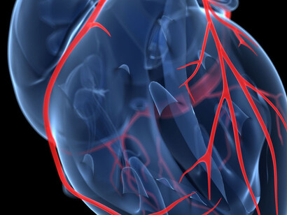 I movimenti del Cuore