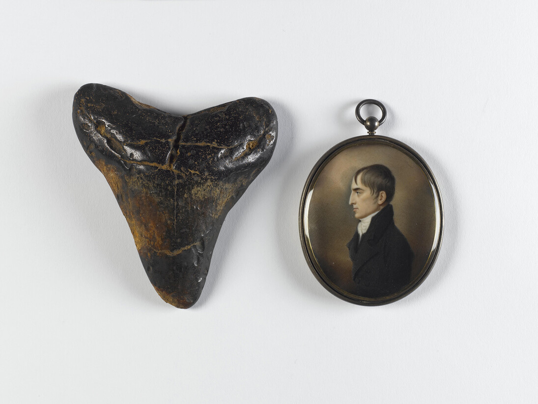 Fossil shark tooth Carcharodon megalodon, USA
Collection National Museum of Ireland – Natural History
John Comerford, Robert Emmet, c.1803, Watercolour on ivory in a silver-gilt pendant, 6.5 x 5.7 cm, Presented, 1969, National Gallery of Ireland Collection
Photograph © National Museum of Ireland. Photographer: Bryan Rutledge
