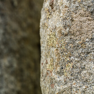 Ugo Rondinone. Courtesy of The Contemporary Austin