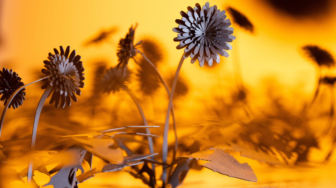 Esmaa Mohamoud, Let Them Consume Me In The Light, installation view, photo by Kyle Flubacker. Courtesy of Kavi Gupta Gallery