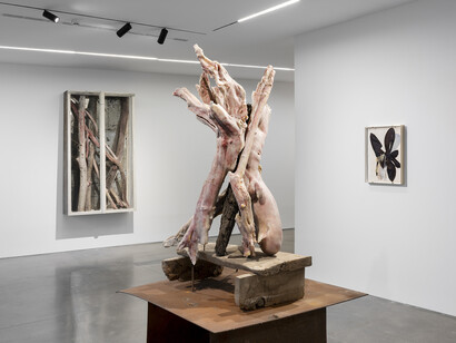 Berlinde De Bruyckere, Plunder, exhibition view. Courtesy of Pedro Cera