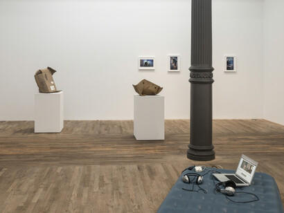 Alt-Facts. Courtesy of Postmasters Gallery