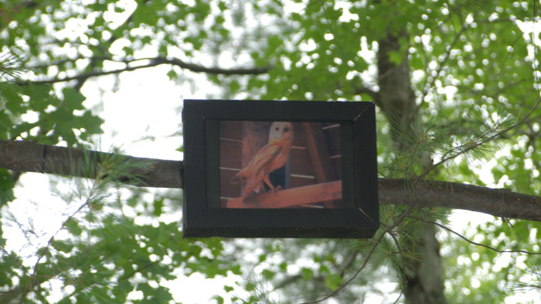 Nina Katchadourian. Courtesy of Aspen Art Museum