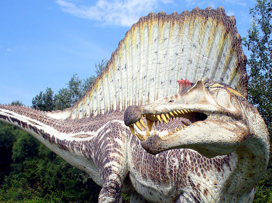 Modello in grandezza naturale di Spinosaurus, lungo circa 16 metri, realizzato da Geo - Model e ora esposto nei Giardini Montanelli, di fronte a Palazzo Dugnani © Foto di Simone Maganuco 