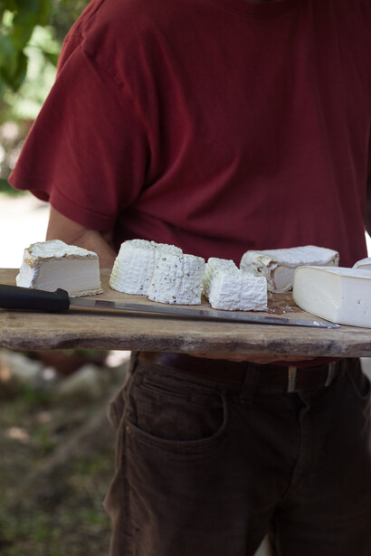 Cheese workshop. Ph Giulia Scarpaleggia