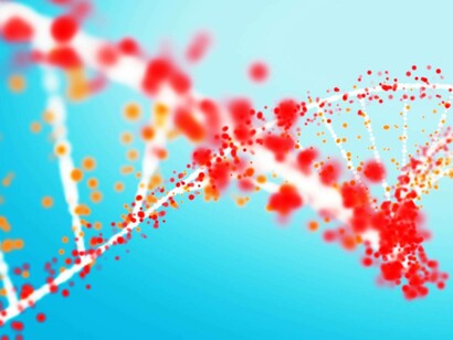 Polypeptides may give rise to a small family of filled vesicles that can have the right order of macromolecular components to initiate the pathway towards primordial cellular forms and a better understanding of the origin of life