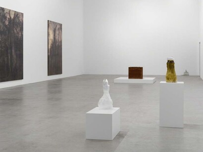 Simultaneity Biases. Courtesy of Blain Southern Gallery 