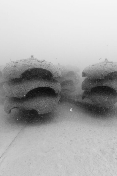 Nicolas Floc'h, Structure productive (detail), récif artificiel P2A, -10m, Cagnessur-
Mer, 2014. Impression pigmentaire contrecollée sur Dibond, 110 x 137,5 cm, Ed 1/3, OEuvre produite par le musée des beaux-arts de Calais et DEL’ART, Nice, avec le concours du Conseil régional PACA