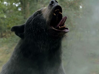 An angry Cocaine Bear growling as white mist is sprayed on him