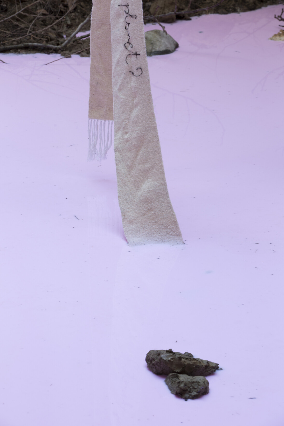 Petrit Halilaj, Yes but the sea is attached to the earth and it never floats around in space. The stars would turn off and what about my planet?, 2014, Installation. Mixed media (earth, branches, fallen leaves, stones, soap), Variable dimensions, View of the exhibition (detail) « Yes but the sea is attached to the earth and it never floats around in space. The stars would turn off and what about my planet? », Kamel Mennour, Paris, 2014, © Petrit Halilaj, Photo: Fabrice Seixas, Courtesy the artist and Kamel Mennour, Paris