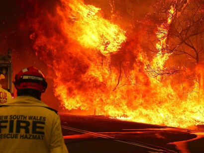 Fires destroyed everything that could not escape from nearly 472,000 acres of burning forests and bushlands