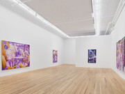 Denzil Forrester, Two islands, one world, exhibition view. Courtesy of Andrew Kreps Gallery
