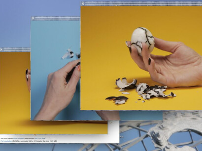 Camille Henrot, Grosse fatigue (video still), 2013. Courtesy of Hauser & Wirth Gallery