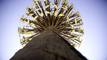 Luce e Ombra, corona luminosa Paolo Frullini