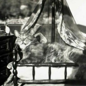 Claude Cahun, La Chambre du chat ["The Cat's Room"], 1940, vintage gelatin silver print, 6 1/2 x 8 1/2 inches, 16.5 x 21.6 cm