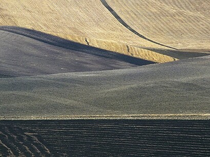 Puglia 1978