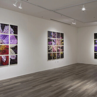 Gail Roberts, Natural selection, exhibition view. Courtesy of Quint Gallery