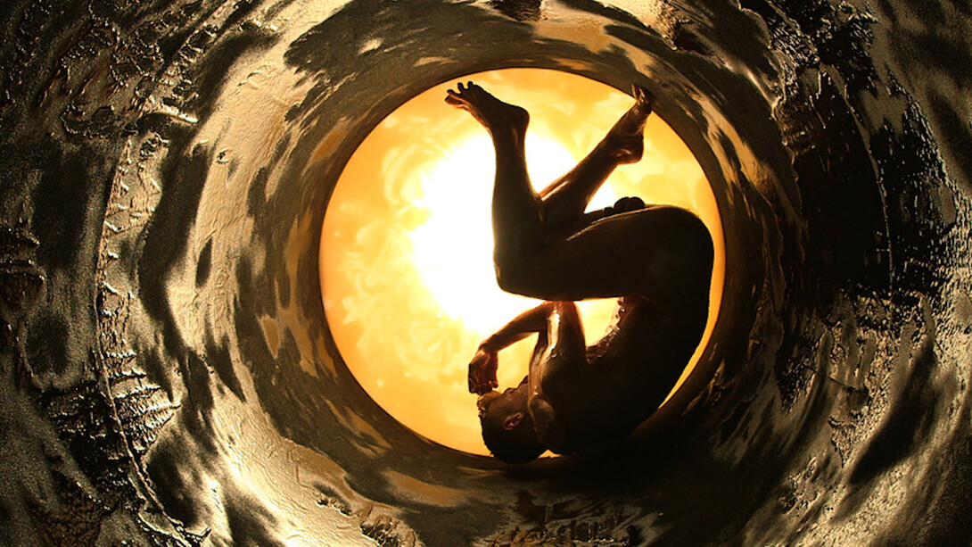 Entangle. Courtesy of Tang Teaching Museum and Art 