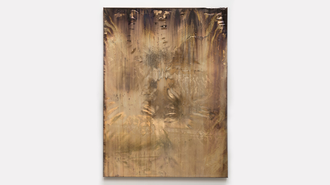 Michael Joo. Courtesy of Galeria Carles Taché