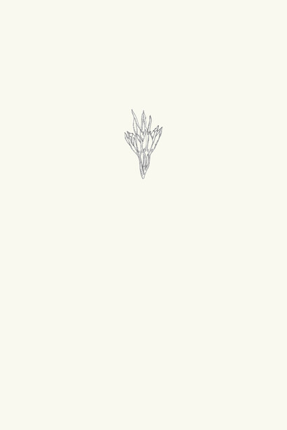 Ella Littwitz. Courtesy of Kunst Halle Sankt Gallen