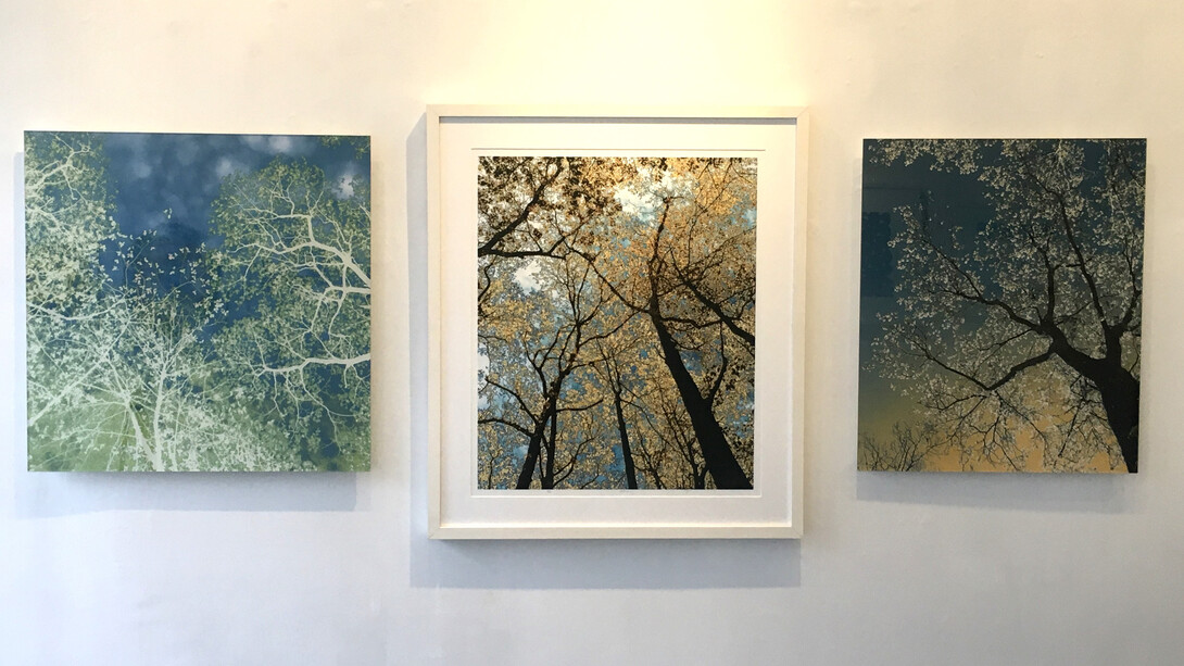 Installation view, Nancy Simonds, Uplifting. Courtesy of Elisa Contemporary Art