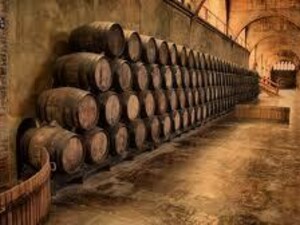 Wine  barrels in a cellar
