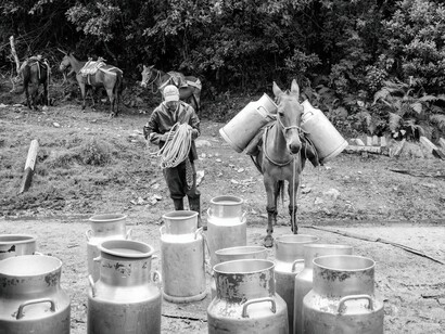 Vale la pena resaltar que hay guías que no son de la región; yo considero importante ir con personas que son de allá. Primero, porque son los dueños del territorio; aunque no tengan las escrituras, ellos son los dueños. Bogota, Colombia