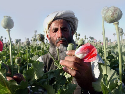 Gli afghani nascosti tra le rocce coltivano l’oppio e lo vendono alla malavita occidentale