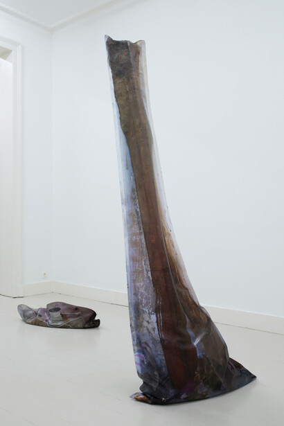 Emmanuelle Lainé, 2015. exhibition view, MOT International, Brussels. Courtesy of the artist and MOT International London and Brussels