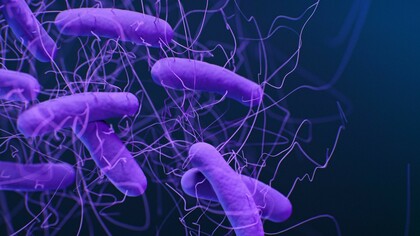 Ilustración médica de la bacteria Clostridioides difficile. El desarrollo de los antibióticos transformó la medicina moderna y abrió un nuevo camino en el tratamiento de infecciones