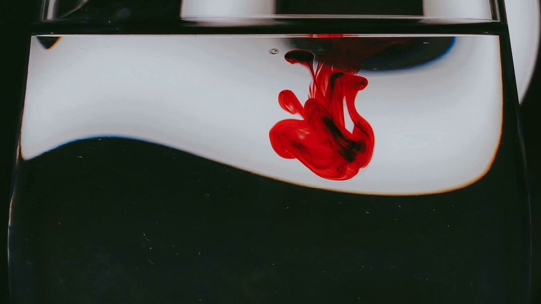 Macchia di rosso su sfondo bianco e nero. Analisi del colore rosso nelle opere di Berni e Grela: significati e influenze