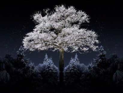 Aqua Aura, Singularity, 2015-2016.  Courtesy of Cell63