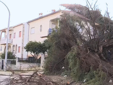 Como respuesta ante la urgencia, diversos grupos surgidos desde la ciudadanía que reaccionaron e hicieron campañas y redes de apoyo para ayudar a quienes quedaron sin casas, negocios o cualquier tipo de bienes materiales. Lisboa, março 2026, Portugal